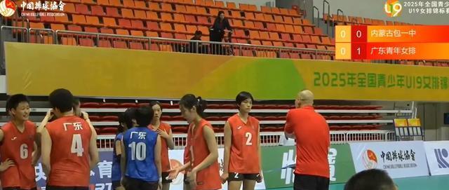 女排也是很 女排也是很