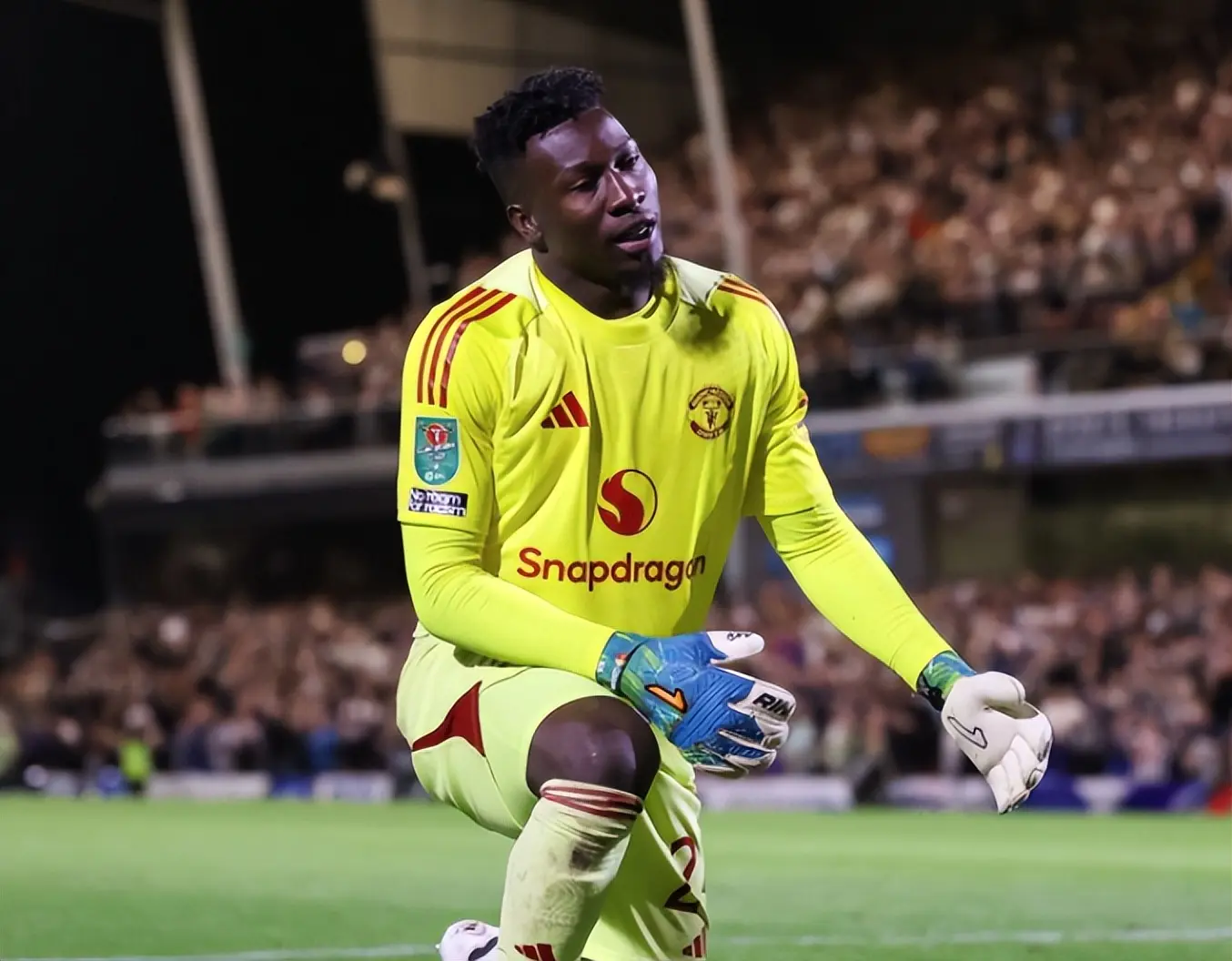 对于奥纳纳, cn 对于奥纳纳, cn